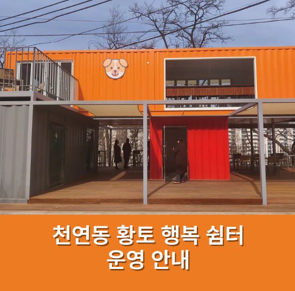 사진 5