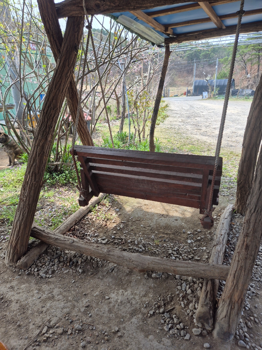 산동죽마고우 사진 3