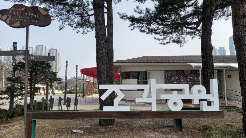 사진 3
