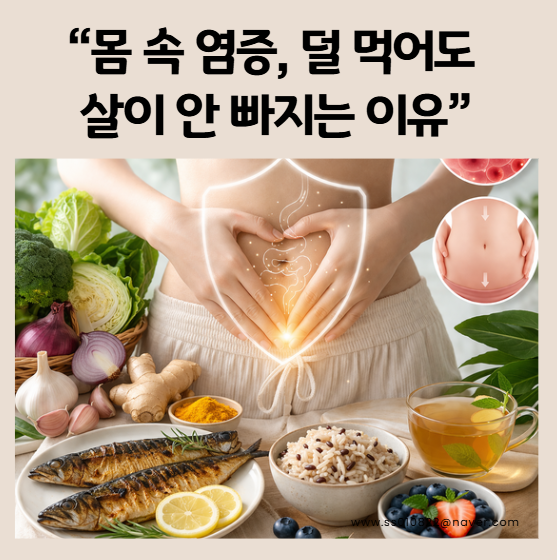 몸속염증없애기 음식 총정리｜복부 지방 줄이는 식단
