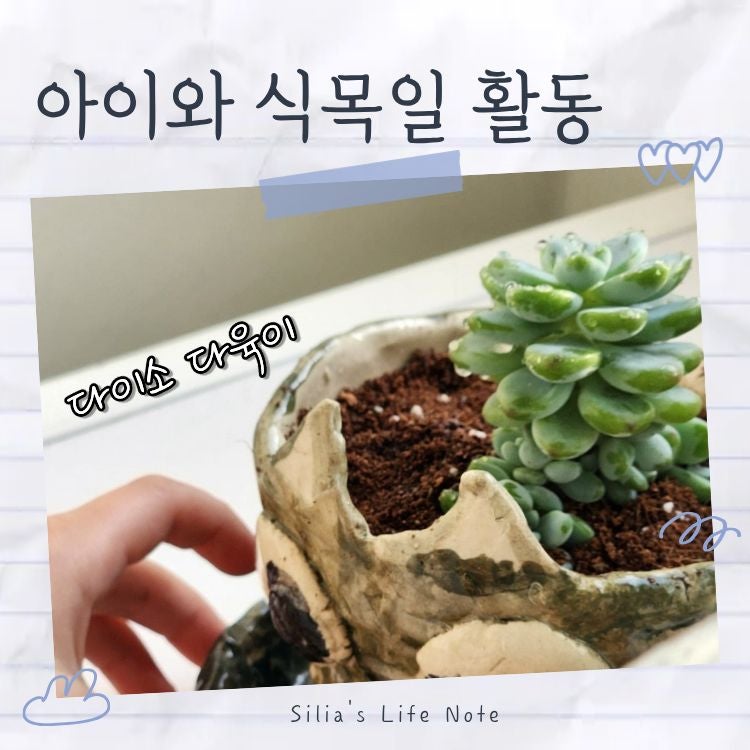 아이와 꽃 심기 | 다이소 흙으로 간단한 식목일 활동 씨앗심기 다육이분갈이 상토/배양토 비....