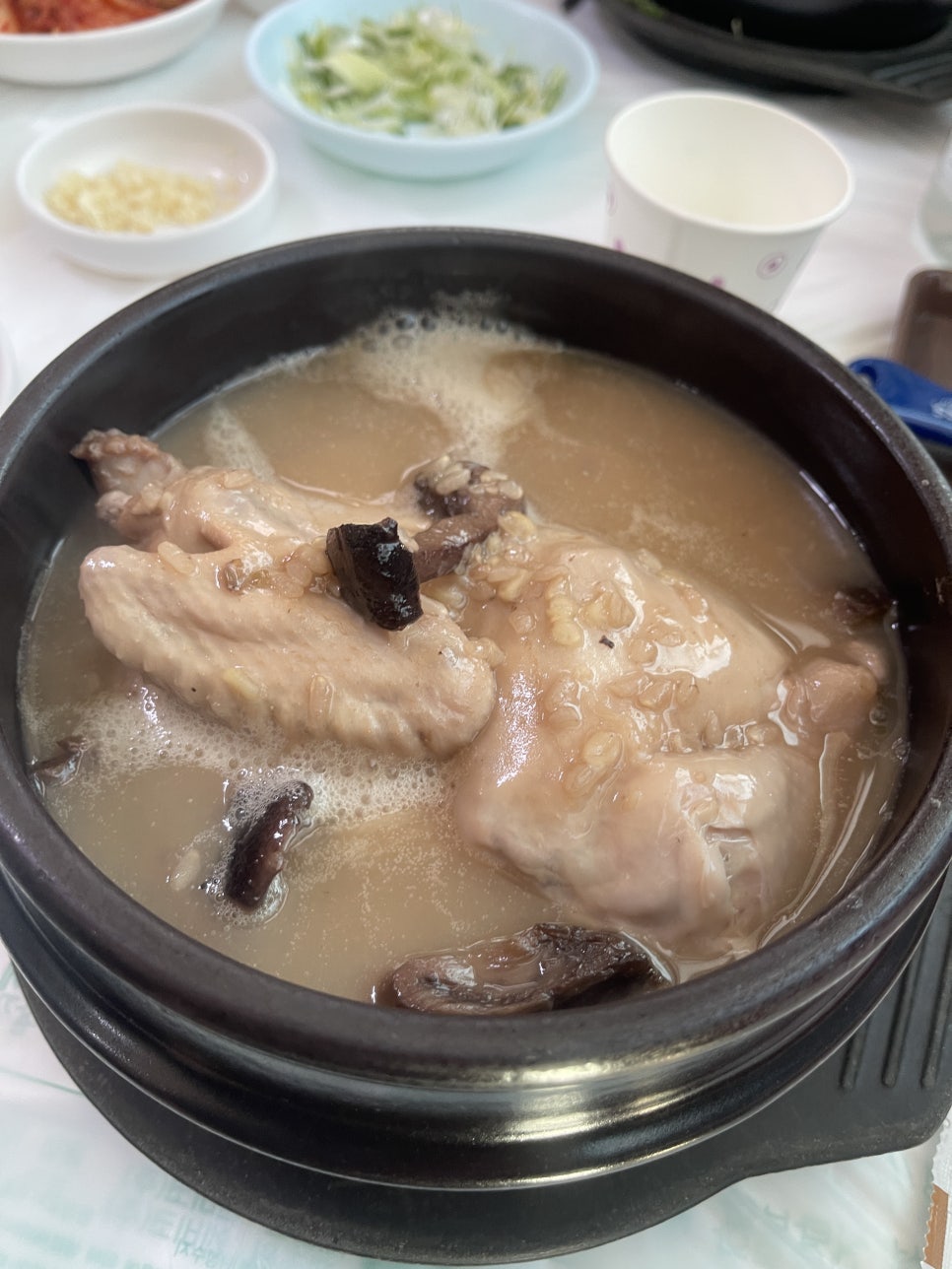 송죽 사진 5