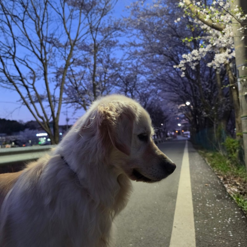사진 4