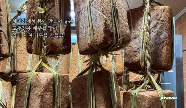 전주전 사진 6