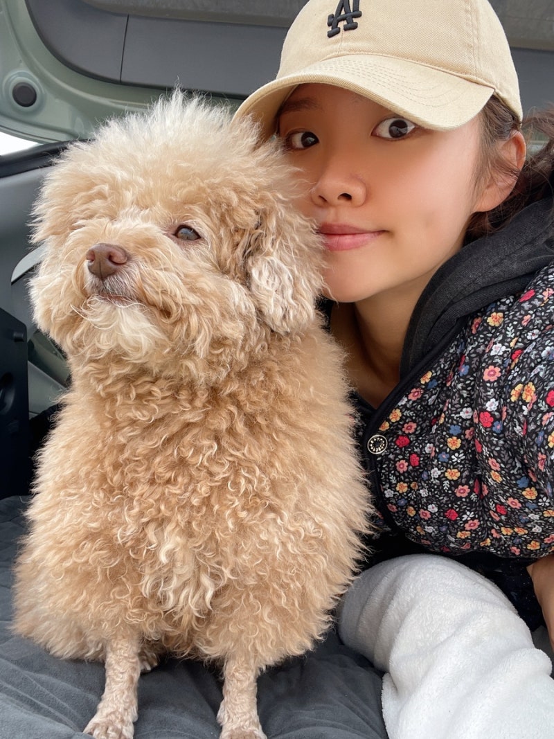 강릉 안목해변 차박 위치 꿀팁 (주차장, 화장실)