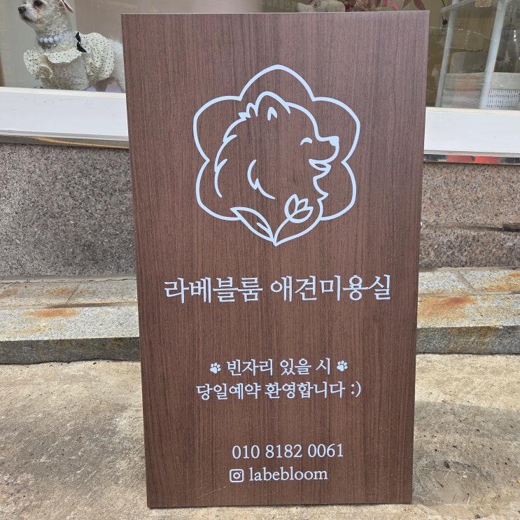  강남애견미용실 라베블룸 애견미용숍 솔직 방문 후기