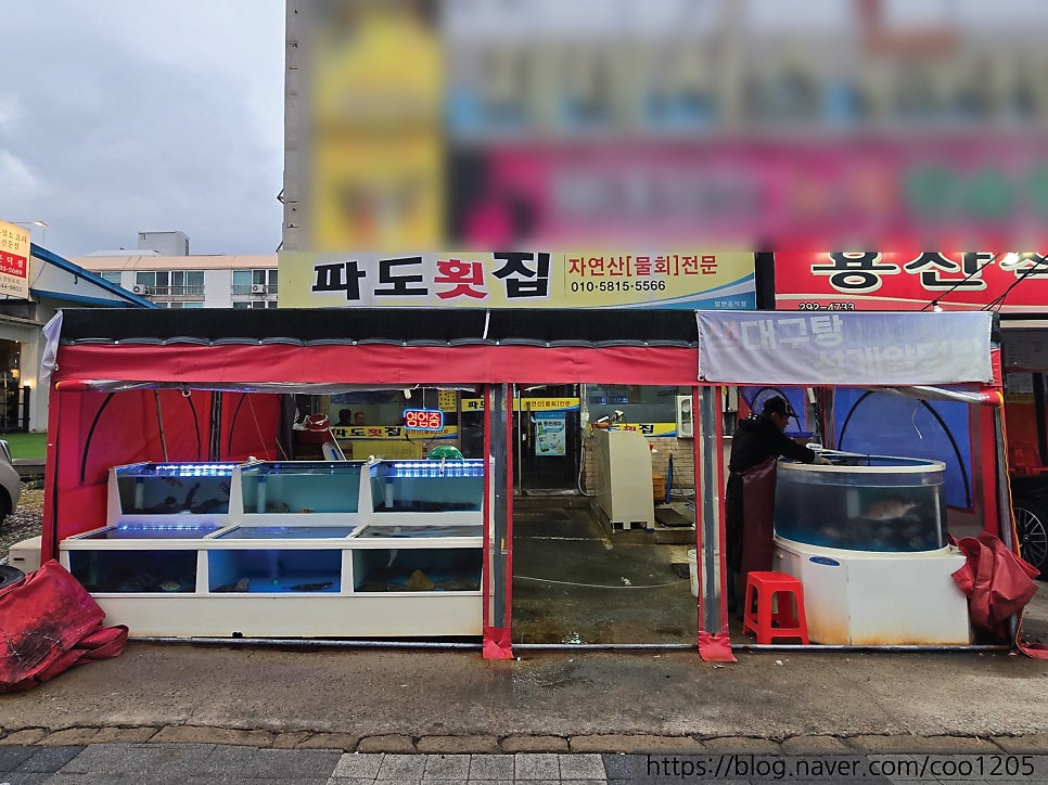 파도횟집 사진 2