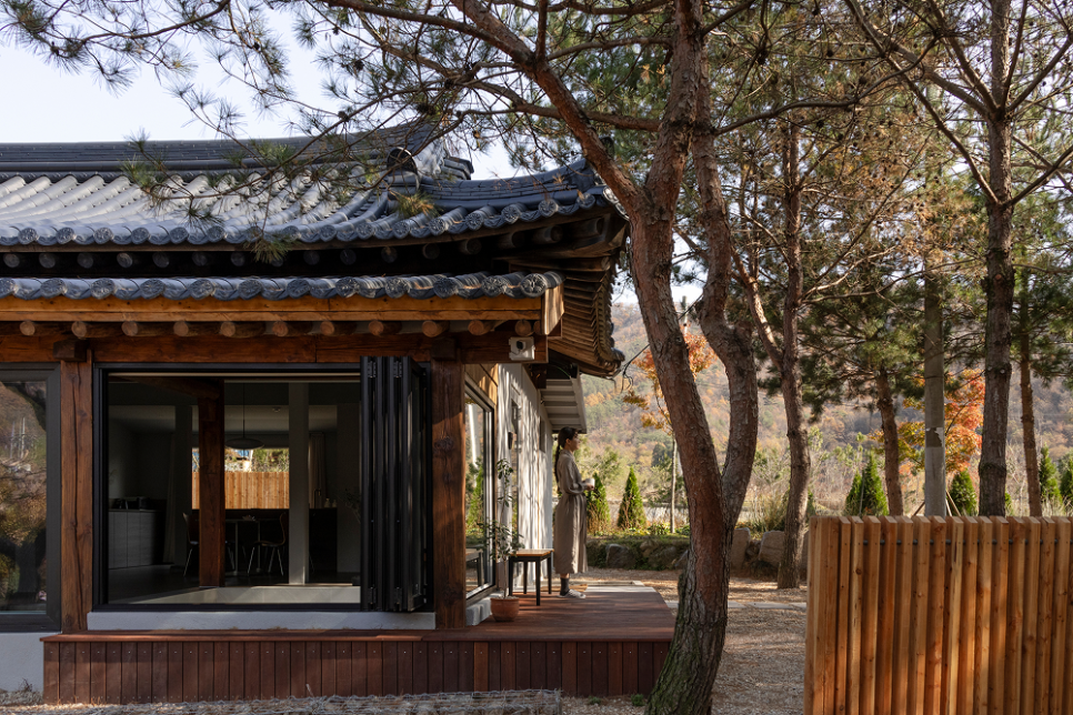 스테이동몽 사진 1