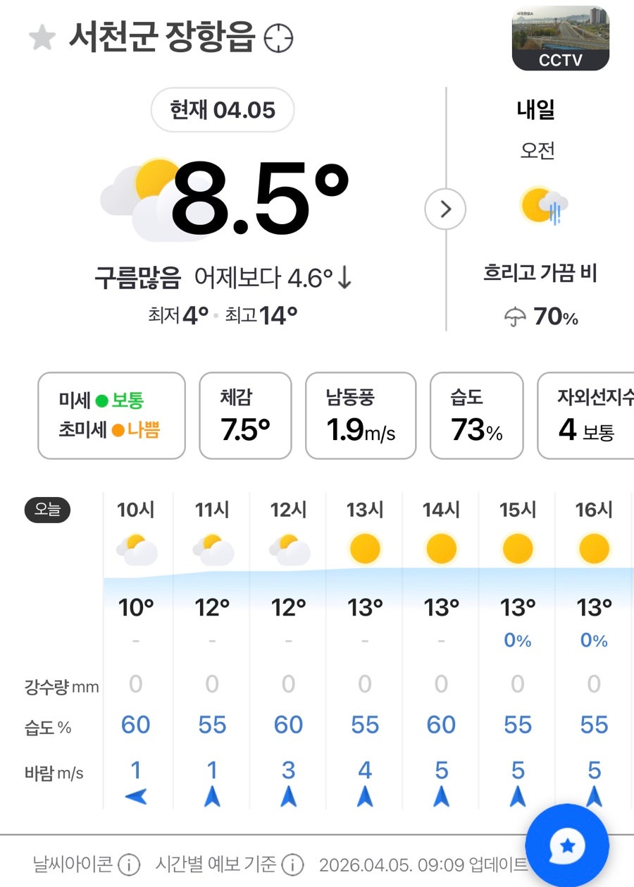 송림갑오징어짬뽕 사진 5