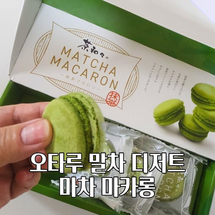  오타루 사와와 디저트 말차 마카롱 선물세트