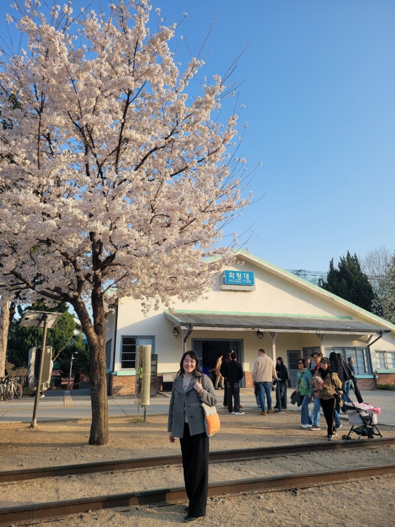 사진 5