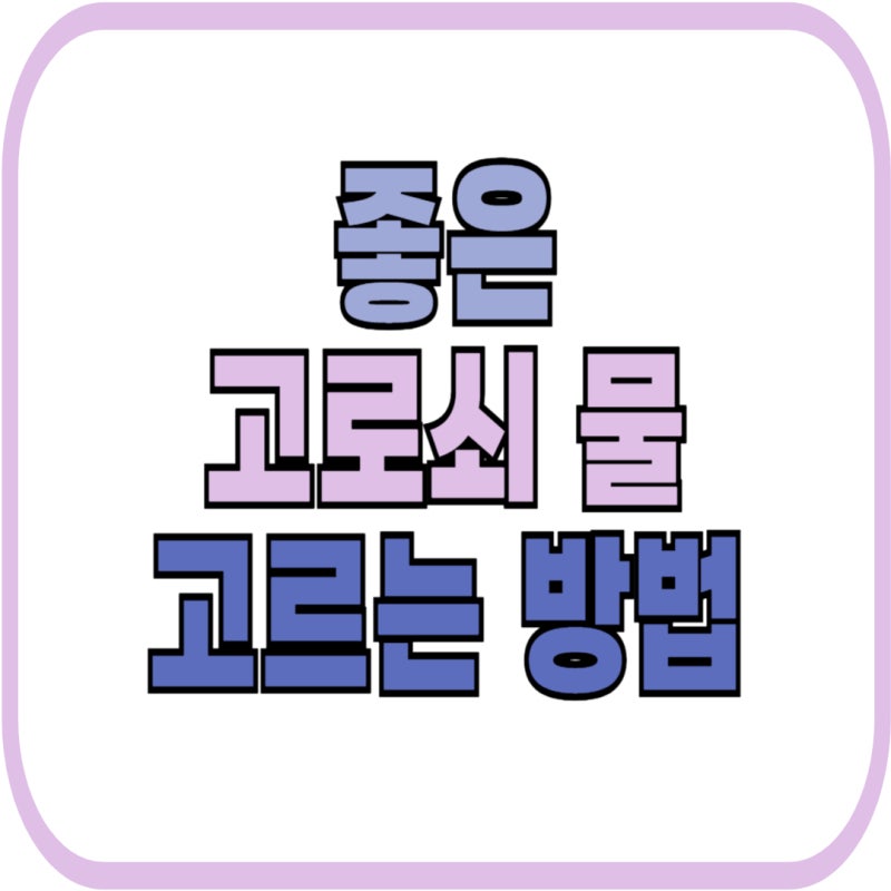고로쇠 수액 채취방법 + 고로쇠물 vs 자작나무 수액 차이 + 구매 팁 (2026 최신)