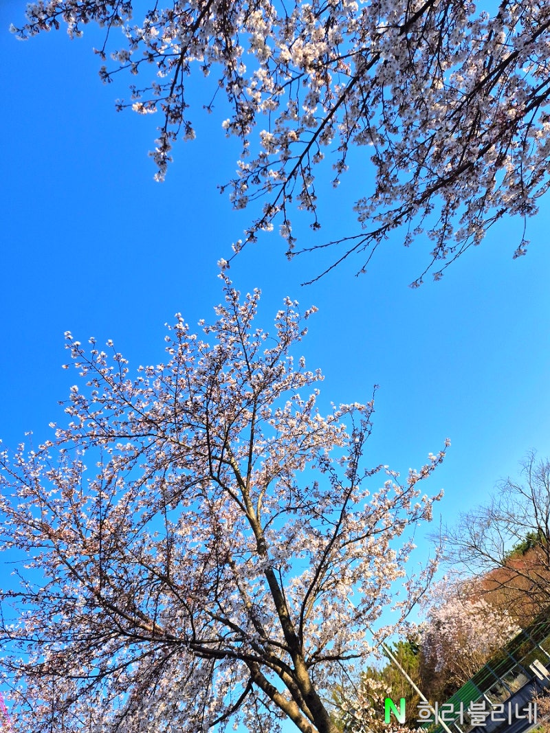 사진 7