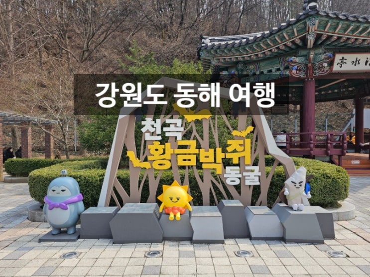  동해 천곡황금박쥐동굴 입장료 천곡동굴 방문후기