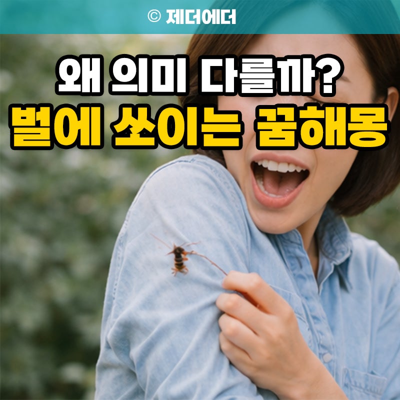 벌에 쏘이는 꿈 해몽 로또 태몽, 벌에 쏘인 강아지 왜 의미 다를까?