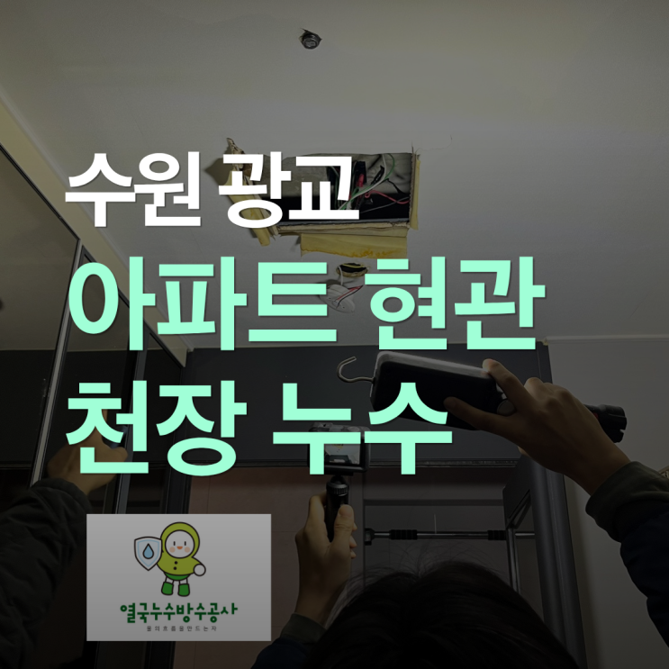  수원 아파트 천장 누수 광교 현관 전등에서 물 쏟아지는 온수배관 원인 해결