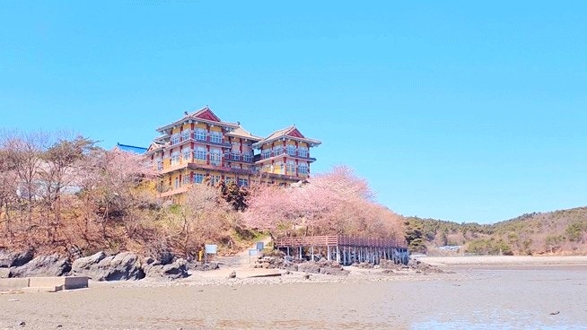 사진 8