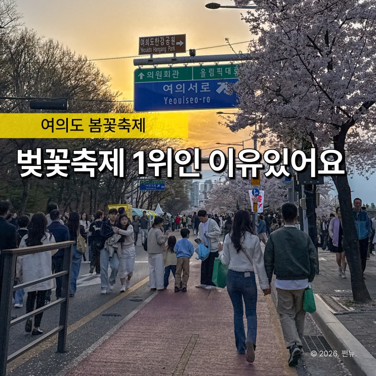  "이제 진짜 끝이에요" 2026 여의도 벚꽃축제 마지막 날 꼭 가야하는 이유