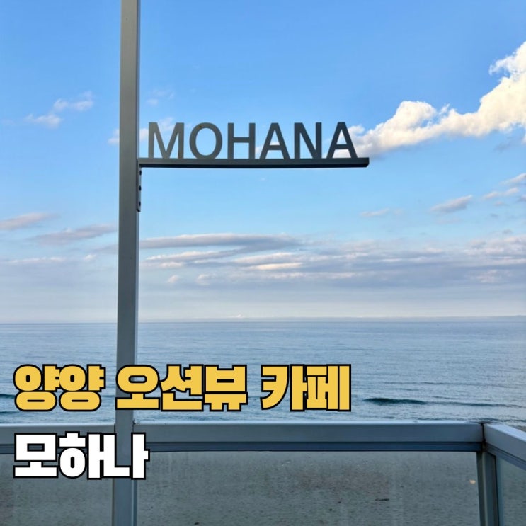  양양 오션뷰 내돈내산 카페 추천 애견동반 가능한 모하나 카페