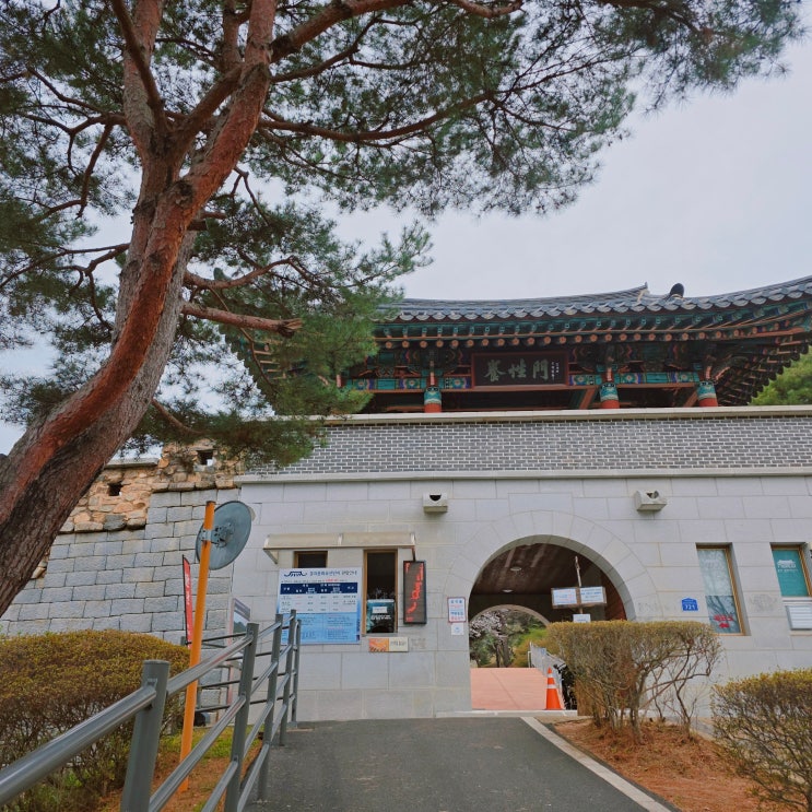  청주 문의문화재단지 입장료 주차 충북 여행지 청주 나들이 가볼만한 곳