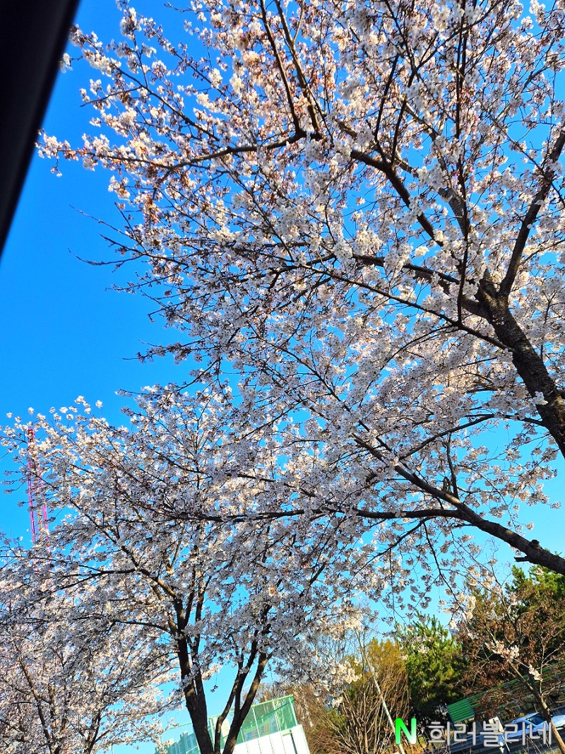 사진 8