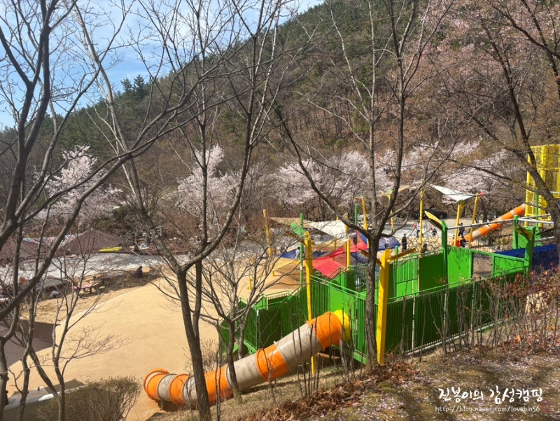 구미 천생산 숲놀이터 여기 두번 세번 네번 가세요 !!