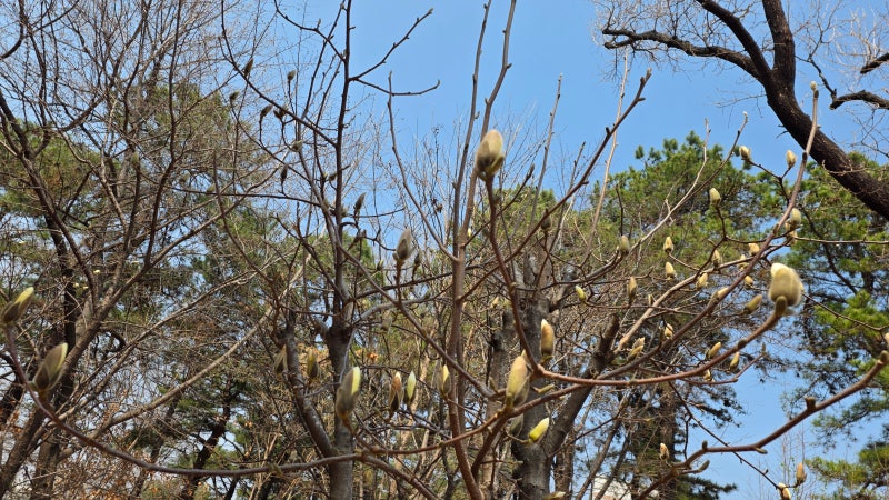 사진 8