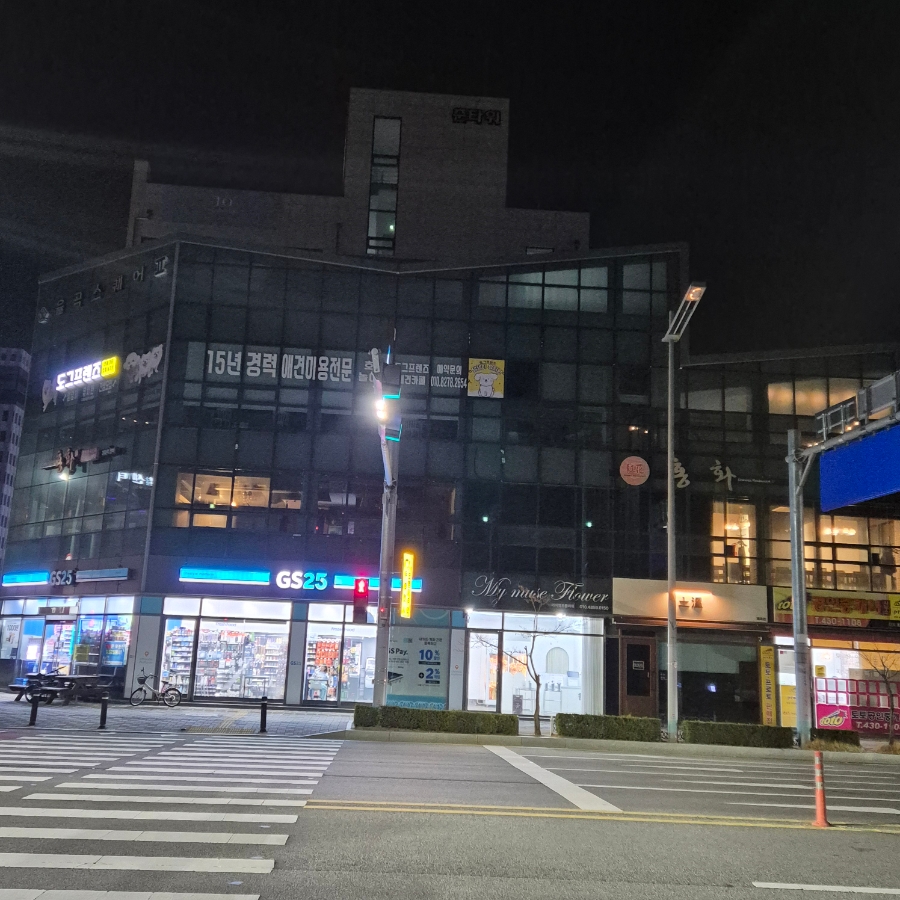홍화 사진 2