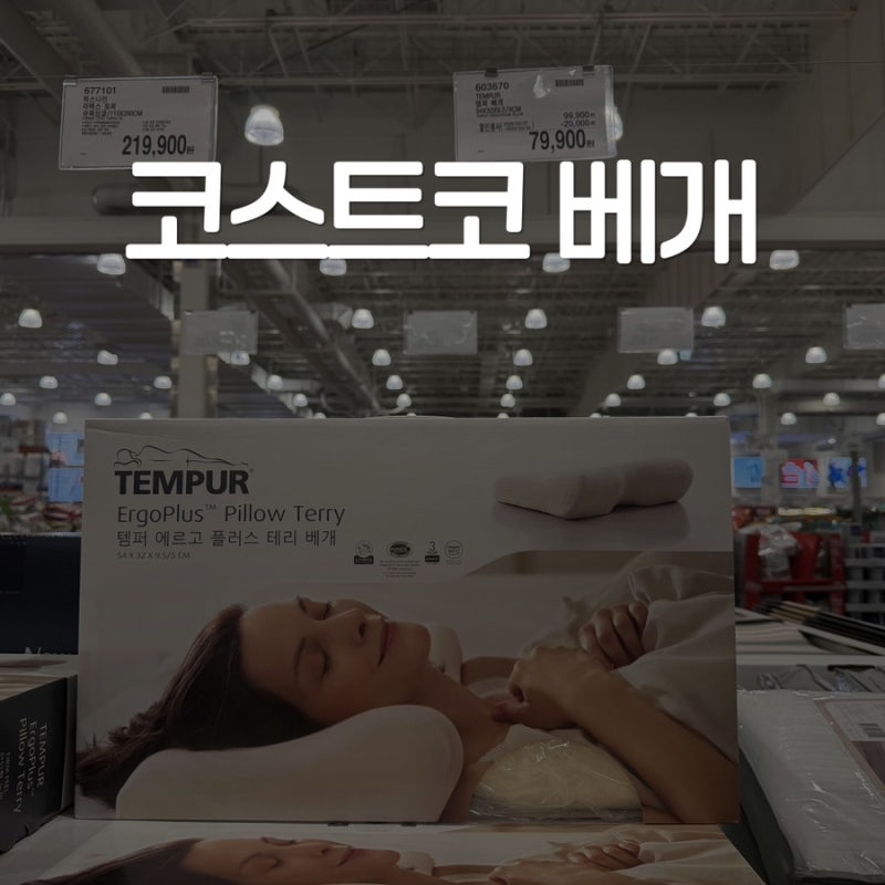 코스트코대구혁신점 템퍼 에르고 플러스 테리 베개 할인 가격