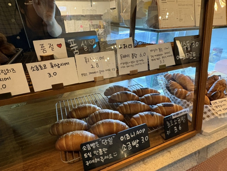 솔츠 사진 5
