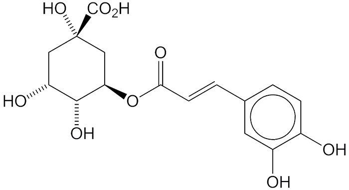   해당화의 기능성분 이야기 11편 – Chlorogenic acid