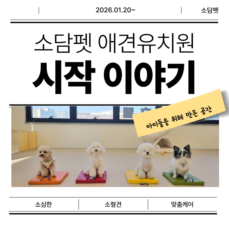 사진 2