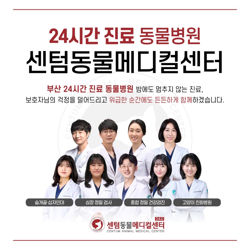 24시 부산 동물병원 찾고 계시다면, '센텀동물메디컬센터 24시'