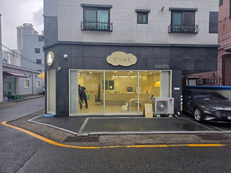  우리집 댕댕이 목욕 울산신정5동 멍개구름