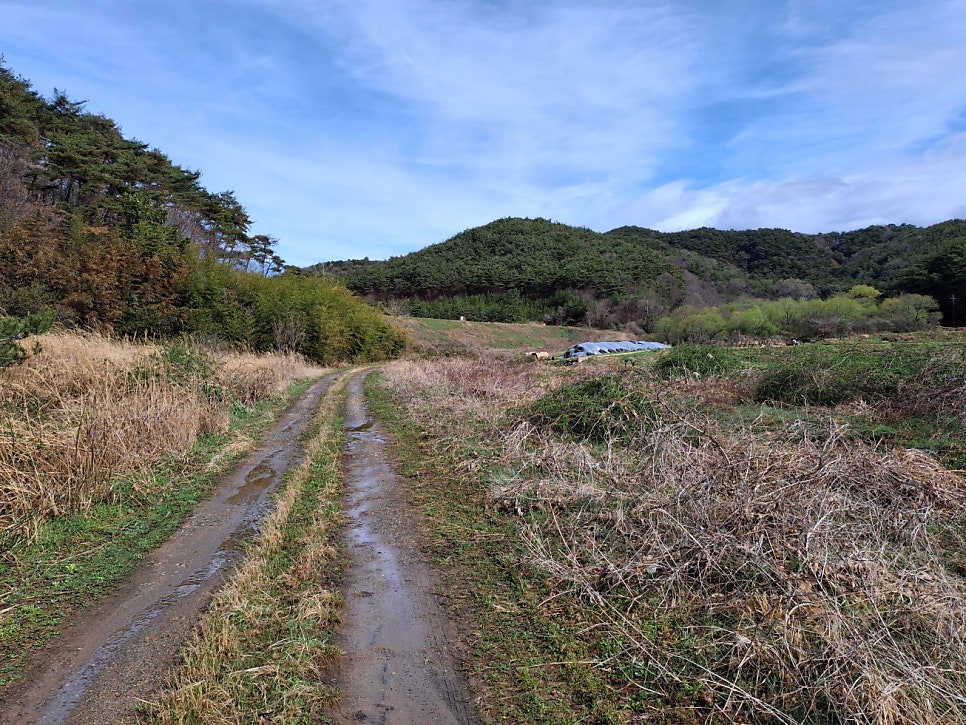 수련산 사진 4
