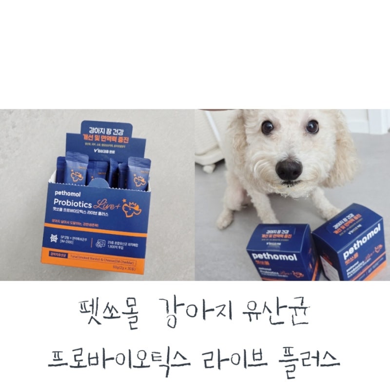 강아지유산균 추천[펫쏘몰 프로바이오틱스 라이브 플러스]