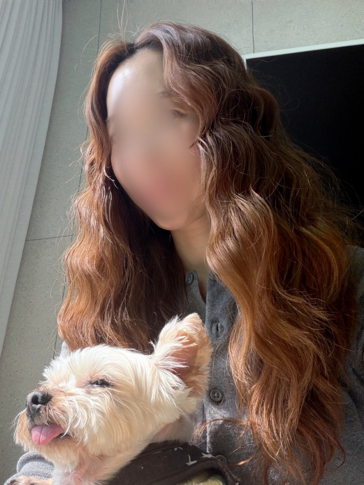  의정부 히피펌 성지 미용사가 추천하는 히친자 미용실 혜자살롱