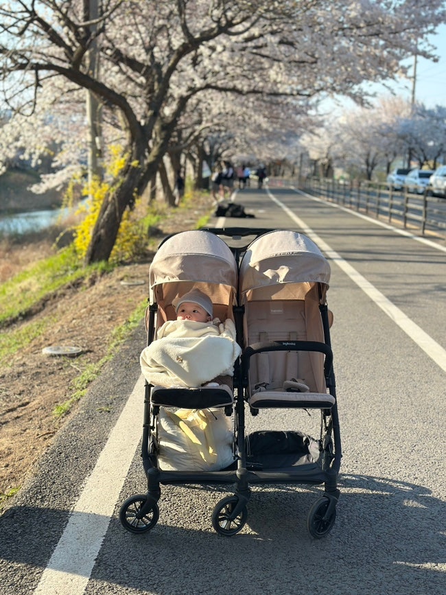 연년생 유모차 고민 끝 잉글레시나 쌍둥이 유모차 절충형 추천