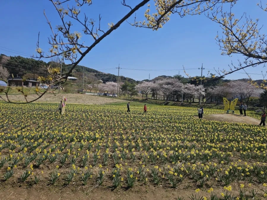 보개산 사진 6