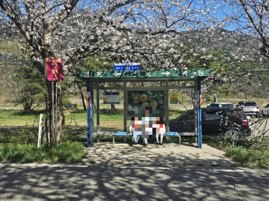 백룡제 사진 2