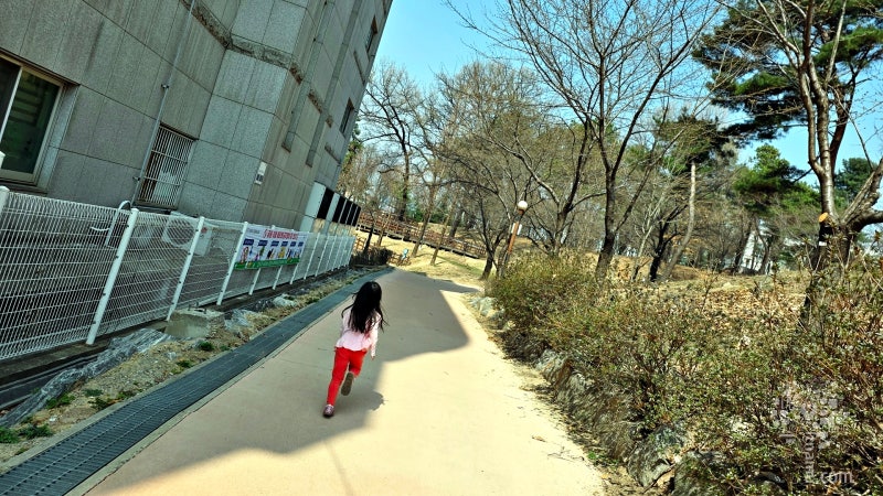 사진 9