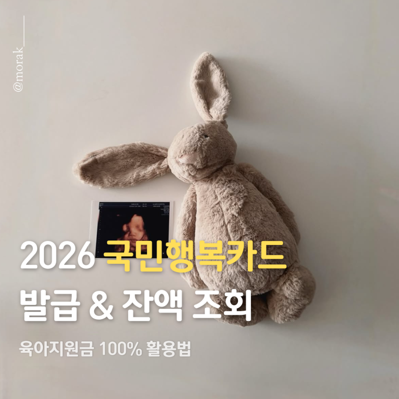 2026년 국민행복카드 발급 방법 & 바우처 잔액 조회 총정리 (현대카드 소식 포함)