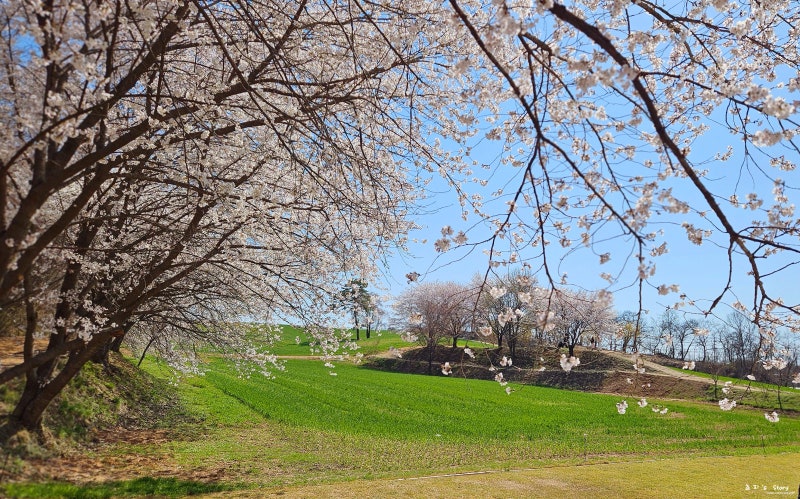 사진 8