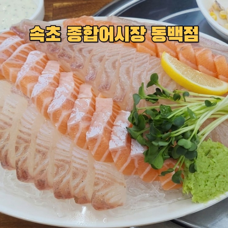  속초종합어시장 용인 동백 가성비 횟집 방문 후기