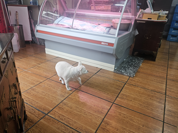 대육정육식당 사진 1