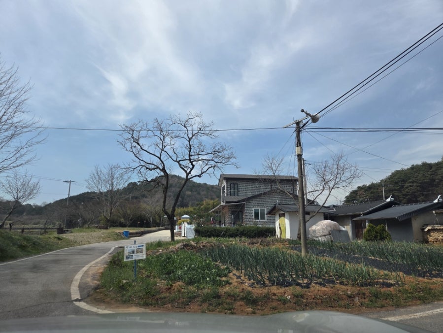 청자연 사진 5