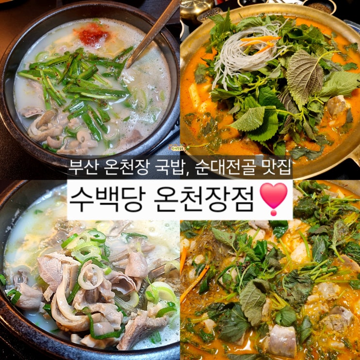  부산 온천장역 맛집 8곳과 수백당 모듬국밥 순대전골 후기