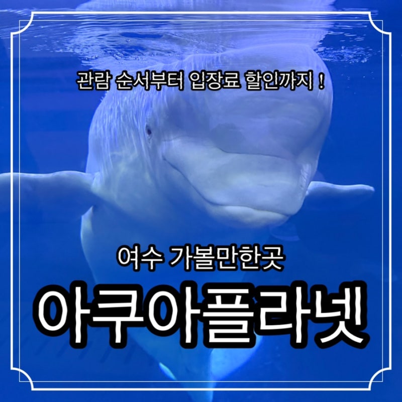 여수 아쿠아플라넷 아쿠아리움 관람순서 스탬프북 비오는날 실내 데이트 코스