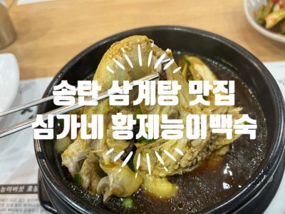 송탄 삼계탕 맛집 몸보신 제대로 되는 심가네 황제능이백숙