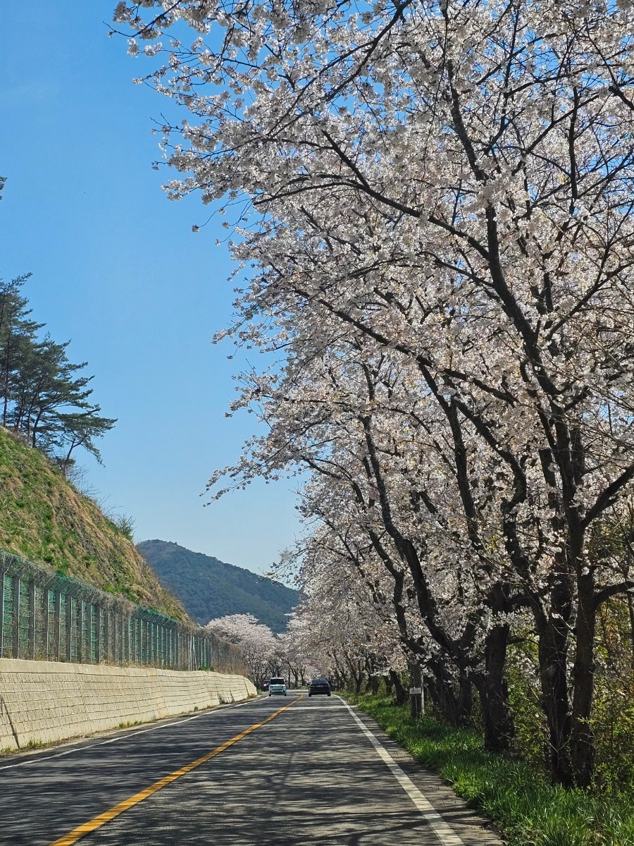 백룡제 사진 6